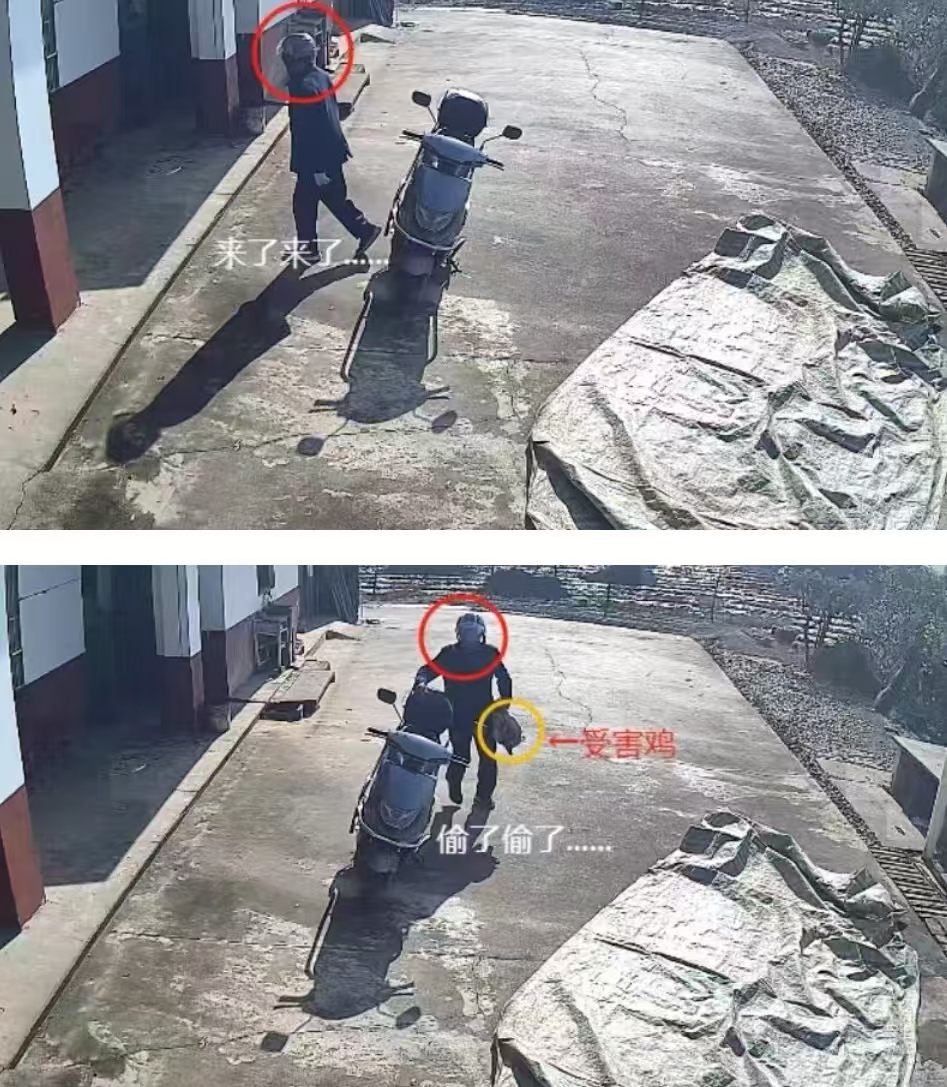 4bee345d3ef19bbd0d6f4ff8dd24b42c.jpg