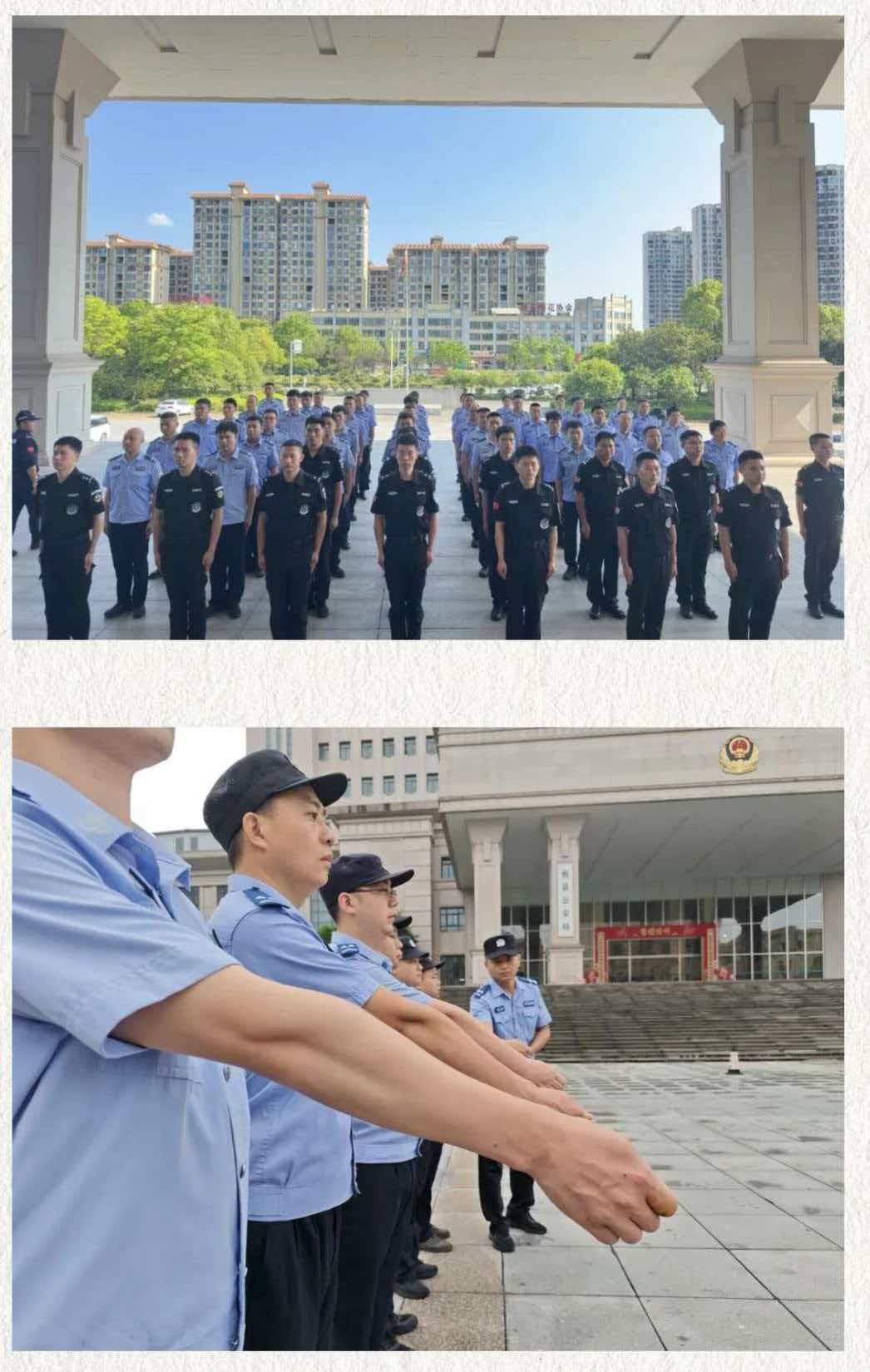 d4339c0237ed9738a98c0eccc66d64b6.jpg